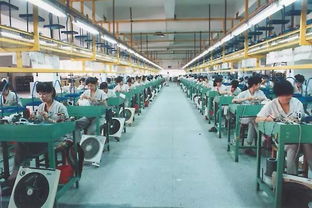 40年家電發(fā)展 見(jiàn)證改革浪潮中的生活變遷與技術(shù)開(kāi)發(fā)